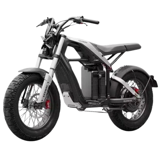 Budget OEM Electric Bike (Limited Supply)