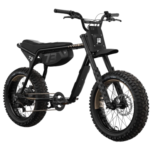 Budget OEM Electric Bike (Limited Supply)